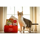 Schnupperpaket Katzen 400g (1 Paket mit verschiedenen Sorten / Testpackungen)